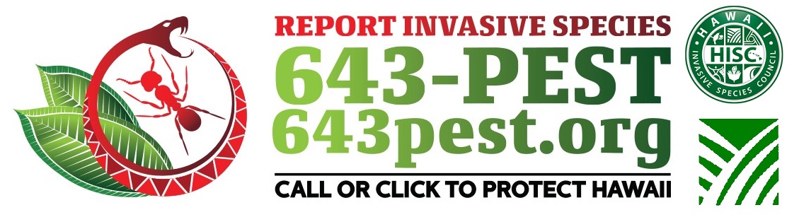 643Pest.org Logo